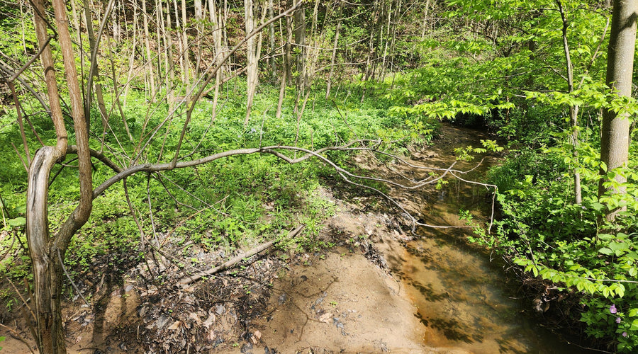 Bridging community to nature: Why we partner with Ottawa County Parks Foundation