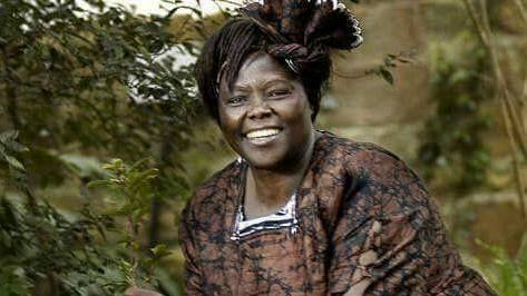 International Women's Month Highlight: Wangari Maathai