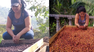 Meet your farmer: Doña Evelyn Samayoa